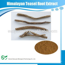 High Quality Himalayan Teasel Root Extract(5:1,10:1,20:1)